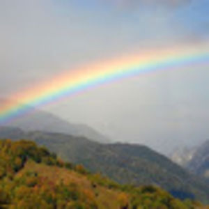 Meet your Posher, Genesis